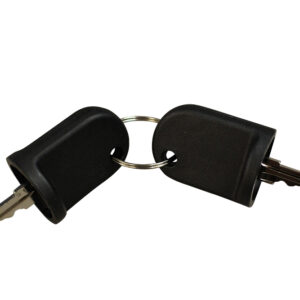 EZGO RXV Ignition Key - RXV - Gas & Electric - Set Of 2